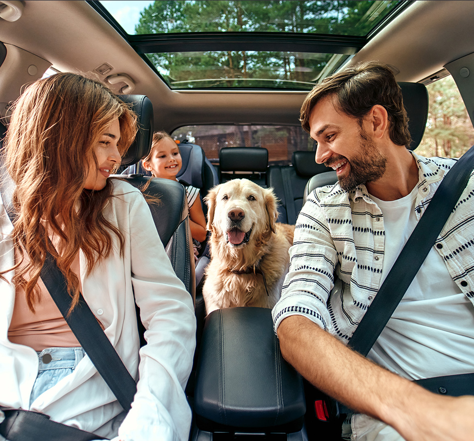 Familia con su perro en el interior de un vehículo